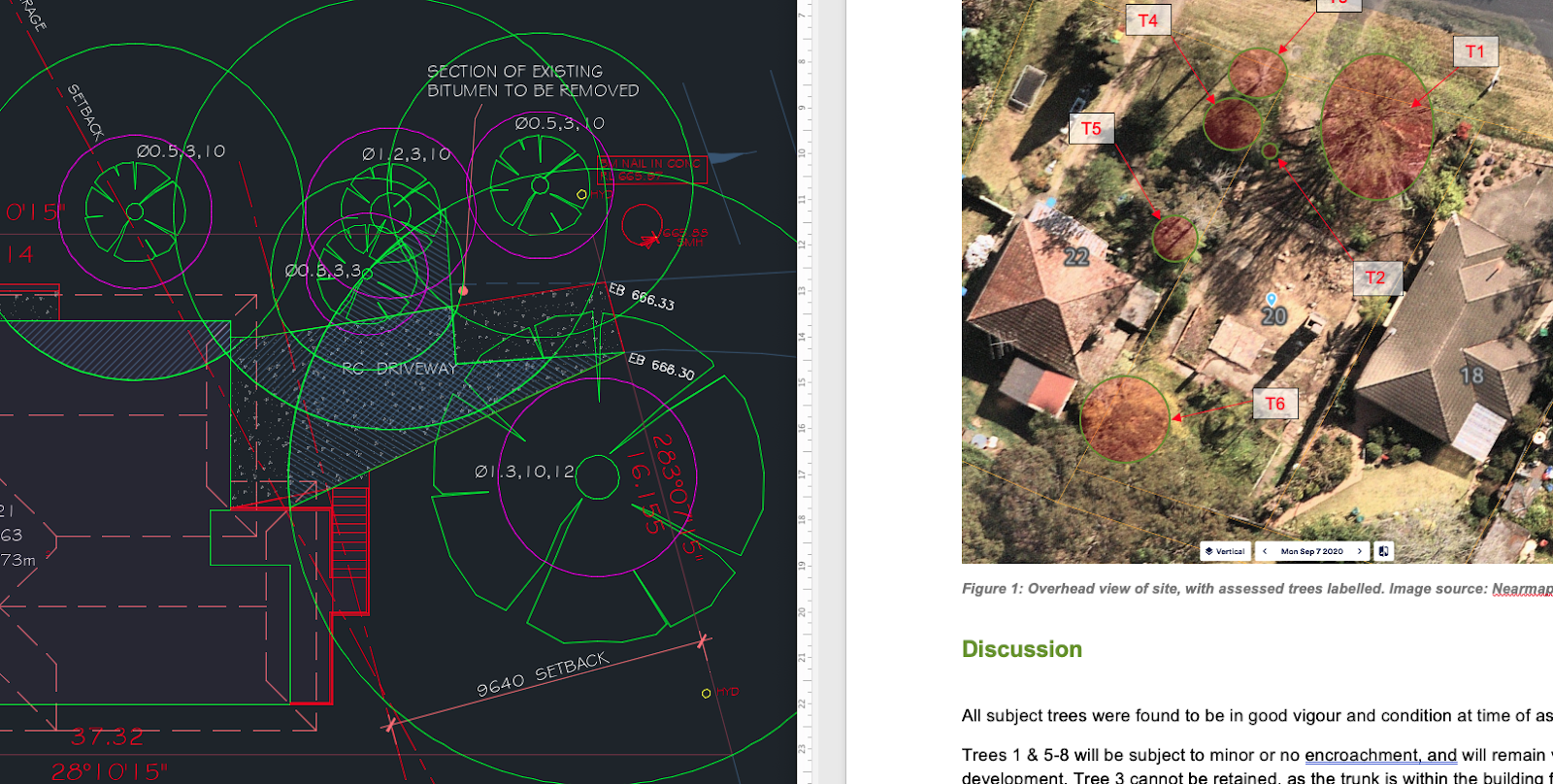 Tree canopy assessment for development application