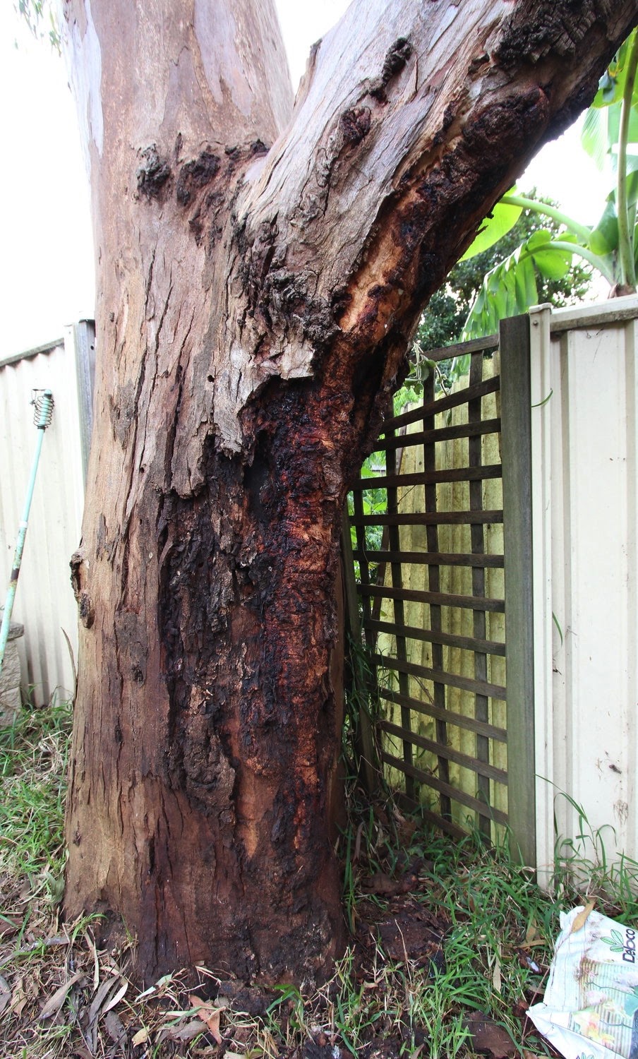 Hazard & Risk Assessment